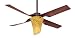 Hunter Fan 21188 52-Inch Zoe Ceiling Fan, Bronze Patina