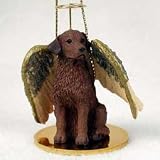 Chespke Bay Retriever Tiny One Angel