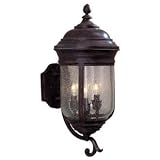Amherst Collection 21 7/8" High Outdoor Lantern