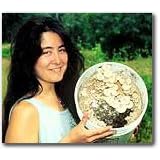 The Espresso Oyster Mushroom Garden Patch- Indoor Mushroom Growing Kit - Grow Edible Mushrooms and Fungi. Easy and Fun Mush Room Grow Kits