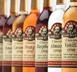Da Vinci Gourmet Syrups Chocolate Syrup