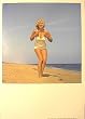 MARILYN MONROE ON BEACH GIANT PHOTO PRINT NEW - 20x28 POSTER