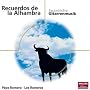 Spanische Gitarrenmusik