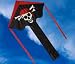 Delta Flyer Pirate