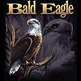 Bald Eagle Adult T-Shirt