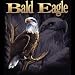 Bald Eagle Womens Scoop Neck T-Shirt