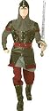 Medieval Man Adult Costume