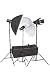 480 Watt Flash Light with Softbox,umbrella and Barndoor