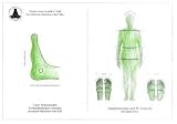 Die Reflexzonen der F&uuml;&szlig;e (2 Tafeln A4 + Patienten-Information) - Hanne Marquardt