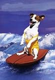 Jack Russell Terrier Birthday Card
