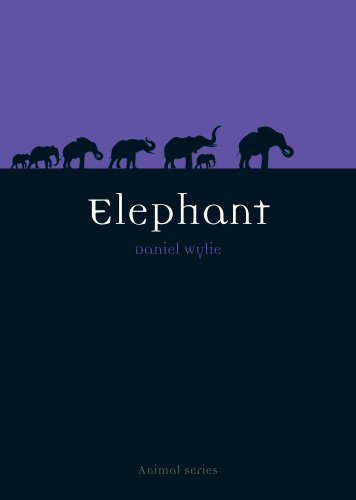 Elephant (Animal)