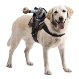 Dog Riders Headless Horseman Halloween Costume (One-Size)