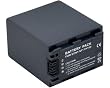 SONY NP-FH100 Li-Ion Battery 2900mAh by Pexell