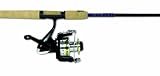 Eagle Claw Gold Eagle Spinning Combo Series, 8'