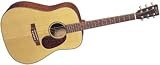 SWDGT Special Edition Sustainable Wood Acoustic Guitar