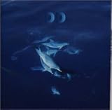 12 DOLPHINS LEA