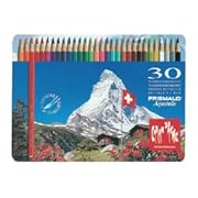 �J�����_�b�V�� �v���Y�}�� 30�F 0999-330