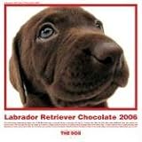 The Dog Chocolate Labrador Retriever (Artlist Collection)