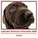 The Dog Chocolate Labrador Retriever (Artlist Collection)