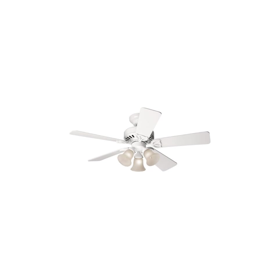 Hunter 20436 42 Ceiling Fan W 5 White Light Oak Blades White The