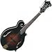 Musical Instruments : Michael Kelly Mandola Plus
