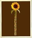 Chocolate Covered Sunflower Seeds - As Seen in "O" Magazine! - Halloween Treat