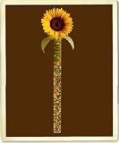 Chocolate Covered Sunflower Seeds - As Seen in O Magazine! - Halloween Treat