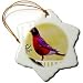 Robin Redbreast Parched On A Fence - Bird Art - 3 Inch Snowflake Porcelain Ornament