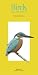 Birds of Mumbai