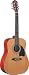 Oscar Schmidt   Acoustic Guitars OG1