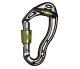 Revolver Screwgate Carabiner by DMM