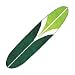 LONGBOARD RUG - GREEN SPEEDO DESIGN - 90X20