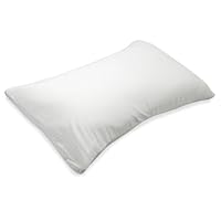 Sarah Peyton Queen Memory Foam Traditional Pillow