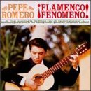 Flamenco Fenomeno!