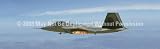 Window Graphic - 20x65 F/A-22 Raptor