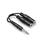 Y Cable 1/4" Ts To Dual 1/4" Tsf With White Earbud Headphones