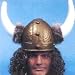 Adult Viking Costume Helmet