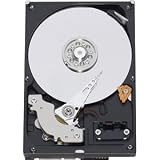 Western Digital 160 GB Caviar Blue SATA 7200 RPM 8 MB Cache Bulk/OEM Desktop Hard Drive WD1600AAJS