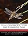 Homeopathic Options for Arthritis Pain