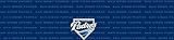 San Diego Padres Team Auto Visor Decal