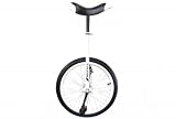 Monocycle 20 pouces diverse couleurs Vélo
