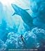 DVD : Blue Submarine No. 6 (Ao No Rokugo), Vol. 2 [Region 2]