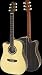 SX DG-50 CE LH Sold Top Left Handed Guitar