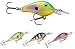 Glass Shad Rap 05 Perch