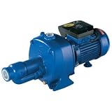 Elektra Beckum Pumpe P 600/1600 W