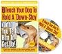 How to Teach Your Dog to Hold a Down-Stay (Until You Tell Him to Get Up)