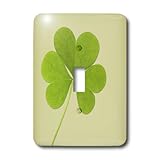 lsp_39339_1 Patricia Sanders Creations - Green Clover- Irish Art- St. Patricks Day - Light Switch Covers - single toggle switch