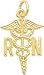 Registered Nurse Charm by Rembrandt Charms