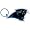 Carolina Panthers