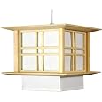 Best Bargain Swag Lamp